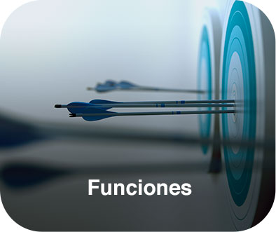 Dos dianas con dardos de perfil